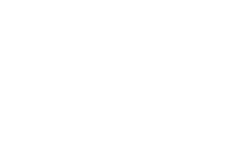 Budweiser